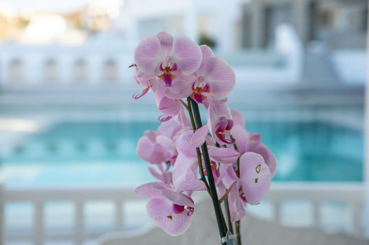 The George Hotel Mykonos Platísz Jalósz Kültér fotó